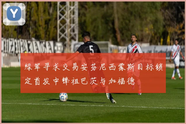绿军寻求交易安芬尼西蒙斯目标锁定首发中锋祖巴茨与加福德