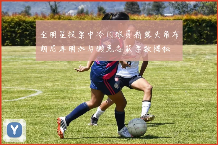 全明星投票中冷门球员崭露头角布朗尼库明加与獭兔各获票数揭秘