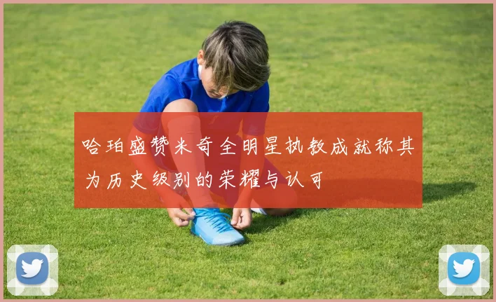 哈珀盛赞米奇全明星执教成就称其为历史级别的荣耀与认可
