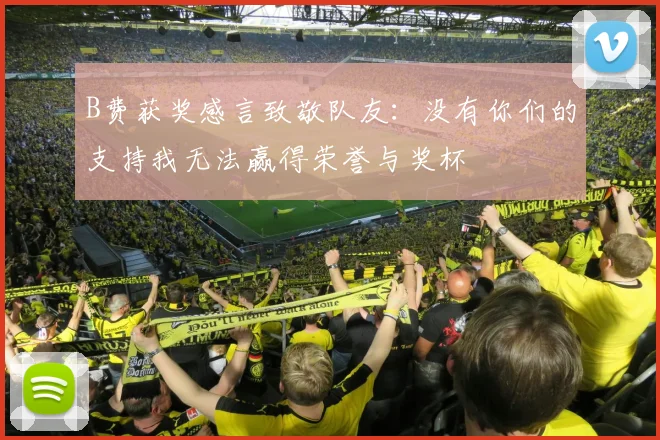 B费获奖感言致敬队友：没有你们的支持我无法赢得荣誉与奖杯